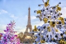 PARIS- Mercados de Natal